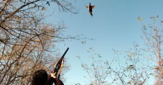 Copertina di Colpito da proiettile, muore 33enne cacciatore in provincia di Cuneo: aperta un’indagine