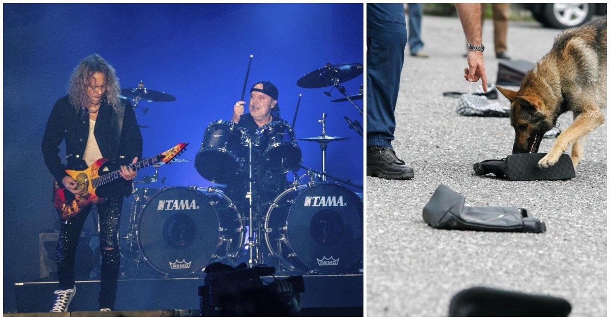 I Metallica assoldano cani anti-Covid per fiutare i contagiati tra il loro staff: “Finora non hanno mai sbagliato”