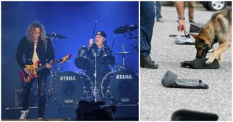 Copertina di I Metallica assoldano cani anti-Covid per fiutare i contagiati tra il loro staff: “Finora non hanno mai sbagliato”