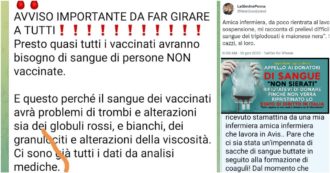 Copertina di L’ultima fake news dei No Vax: “Sangue donato dai vaccinati si coagula. Rifiutiamo i prelievi, mandiamoli ko”. Avis: “Ora basta con le bufale”