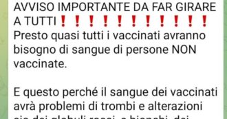 Copertina di L’allarme della Croce Rossa per le fake news dei No Vax su donazioni di sangue: “Pericolose, è un momento di grande necessità di sacche”