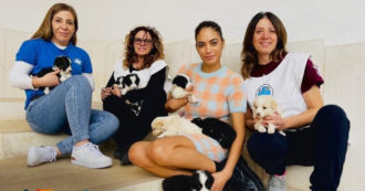 Copertina di Elodie salva otto cuccioli di cane abbandonati: ora sono stati tutti adottati. “A nessuna mamma dovrebbero essere strappati i propri cuccioli”