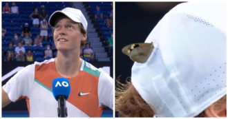 Copertina di Australian Open: Jannik Sinner, la farfalla sul cappello e il precedente di Naomi Osaka che fa sognare