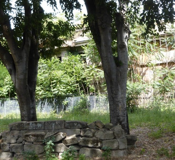 Roma, l’ex Antiquarium comunale del Celio abbandonato da oltre 80 anni. L’obiettivo è farlo rivivere con i fondi del Pnrr