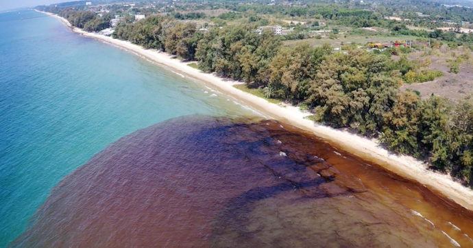 Thailandia, 50mila litri di petrolio nell’oceano: la marea nera arriva sulle spiagge, “grave minaccia alla barriera corallina”