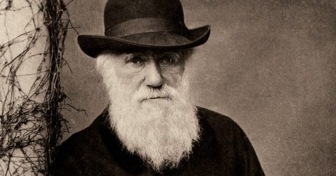 Darwin Day: al museo DaDoM una settimana dedicata all’evoluzione. E c’è chi ancora la nega