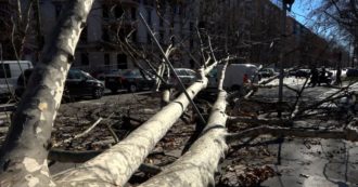 Vento a Milano, albero crolla su un’automobile in transito in viale Abruzzi. Illeso il conducente: “Fortunatamente ha colpito solo il vetro”