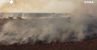 Copertina di Incendi nel nord dell’Argentina, a Corrientes dichiarato stato di emergenza. Le impressionanti immagini – Video