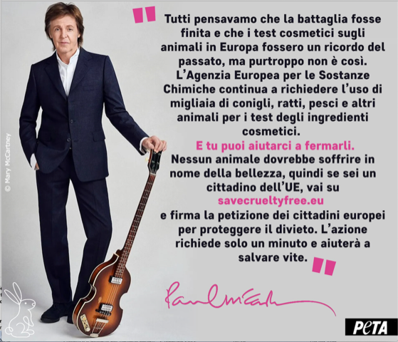 Test cosmetici sugli animali, anche Paul McCartney scende in campo contro Bruxelles - Il Fatto Quotidiano