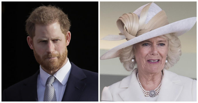 “Camilla sarà Regina consorte”, la reazione del principe Harry e quel problema nella casa con Meghan: “C’è puzza di frattaglie marcite al sole”