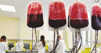 Copertina di Sacche di sangue nell’impianto di smaltimento di Bolzaneto, indagine interna dell’ospedale San Martino di Genova