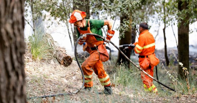 Copertina di L’appello Ferfa a Cingolani: “Ridateci il Corpo forestale”