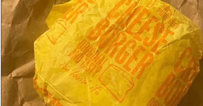 Ritrova un cheeseburger di McDonald’s dopo 5 anni: ecco come è diventato. “Tra altri cinque anni lo controllerò ancora” – FOTO
