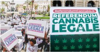 Copertina di Referendum Cannabis e Eutanasia, la conferenza stampa dei promotori con Cappato, Magi, Gallo, Soldo e Perduca: segui la diretta tv