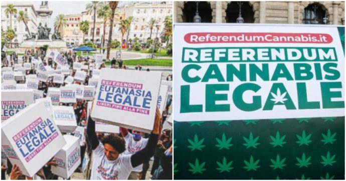 Copertina di Referendum, fine vita e cannabis: i due “no” che dividono