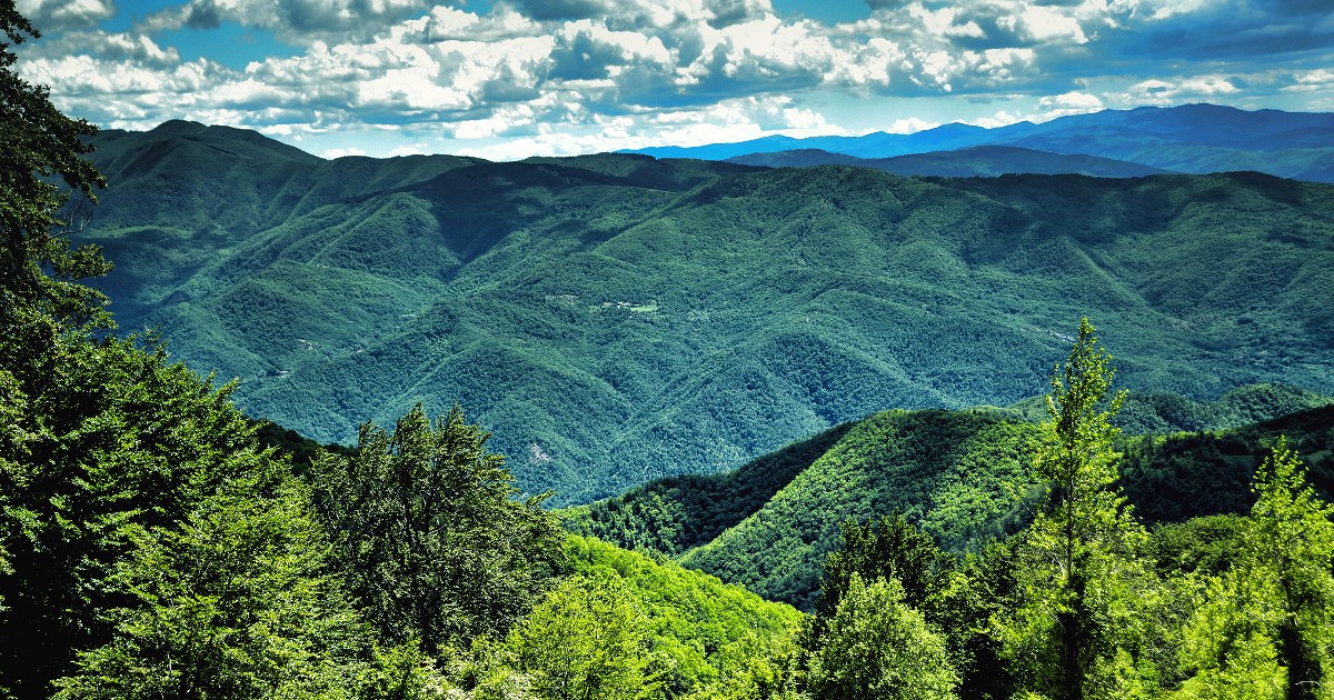 Nel Mugello l’ennesima prova di speculazione: arriva una marcia contro il Far West della transizione energetica