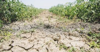 Copertina di Clima, i Consorzi di bonifica: “In Sicilia il 70% dei suoli agricoli è a rischio inaridimento”. La Protezione civile: “Servono infrastrutture”