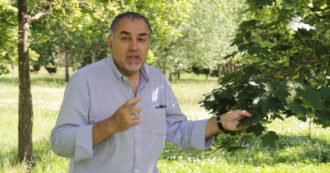 Copertina di Roma, arriva il progetto “Condivide et Albera” per piantare 150 alberi entro il 2023. Con la partecipazione del professor Francesco Ferrini