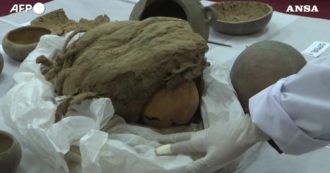 Copertina di Perù, scoperte 8 mummie di bambini: “Evidenze di colpi e fratture. Forse sono stati sacrificati” – Video