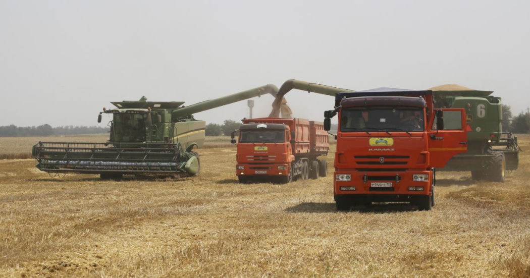 L’altra emergenza, prezzi del grano ai massimi. A rischio le forniture per paesi che più dipendono dall’Ucraina tra cui Libano, Yemen e Tunisia