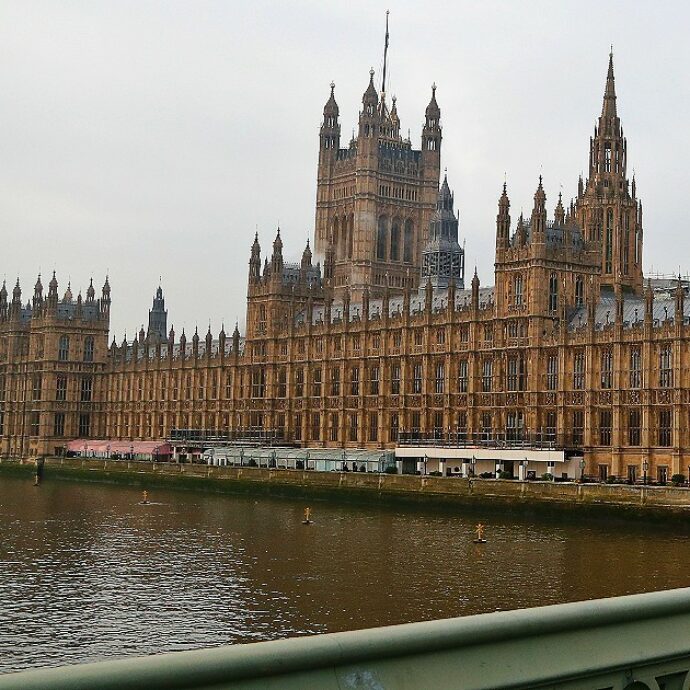 Shock a Westminster, escrementi di topo e altre deiezioni nel cibo dei bar del Parlamento: lo scandalo che scuote il Regno Unito