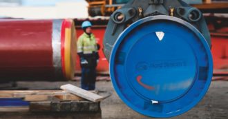 Copertina di Lo stesso sviluppo di prima, ma adesso lo chiamano ‘sostenibile’