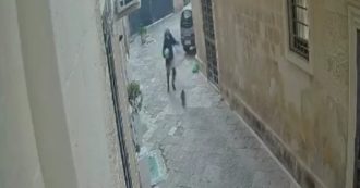 Copertina di Gatto ucciso a calci nel centro di Lecce: fermato il presunto responsabile