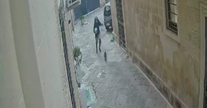 Gatto ucciso a calci nel centro di Lecce: fermato il presunto responsabile