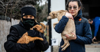 La missione della Lav in Ucraina per salvare i cani abbandonati