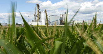 Copertina di Guerra in Ucraina, le lobby dei biocarburanti chiedono all’Ue più terre per i combustibili. Ong: “Rischio crisi alimentare globale”
