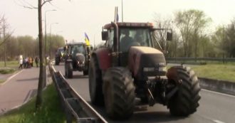 Copertina di Ucraina, carovana della pace di trattori a Milano con le bandiere giallo e blu. I mezzi agricoli in arrivo da diverse province lombarde