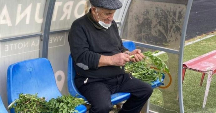 Domeniche bestiali – De Rerum Verdura: quando in panchina non siede un brocco(lo)