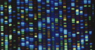 Copertina di Completata la mappa del genoma umano dopo 21 anni di ricerca: “Un vocabolario del Dna, sarà possibile diagnosticare malattie rare”