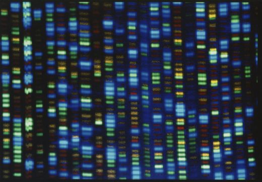Completata la mappa del genoma umano dopo 21 anni di ricerca: “Un vocabolario del Dna, sarà possibile diagnosticare malattie rare”