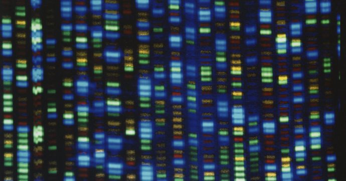 Completata la mappa del genoma umano dopo 21 anni di ricerca: “Un vocabolario del Dna, sarà possibile diagnosticare malattie rare”