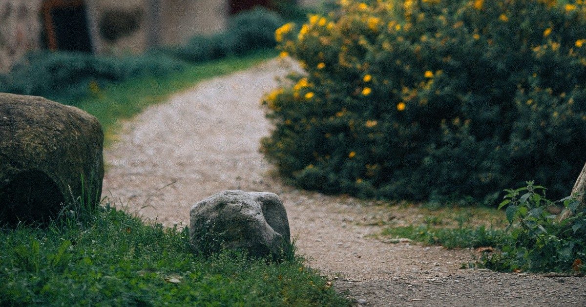 Paola Scaramozzino, la giornalista della Rai vittima del vicino stalker: “Animali sgozzati e serrature chiuse con il mastice, ho dovuto vendere casa”