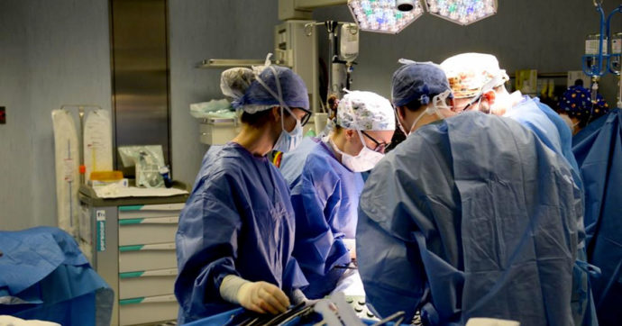 Padova, “maratona di trapianti” all’ospedale: in 48 ore impiantati 17 organi su 13 diversi pazienti