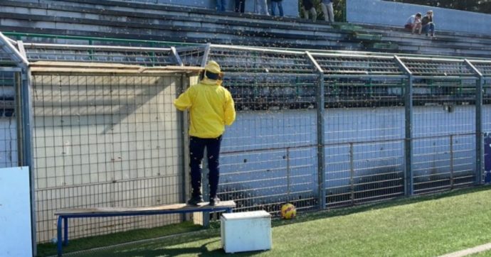 Domeniche Bestiali – La partita di Eccellenza interrotta da uno sciame d’api. E alla fine le due squadre non si pungono