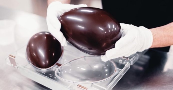 Ecdc: salgono a 187 i casi di salmonellosi in Europa e Regno Unito. “Probabile via di infezione sono alcuni prodotti di cioccolato”