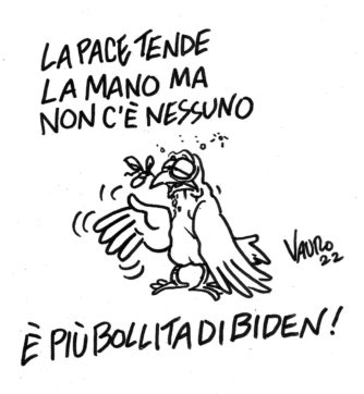 Copertina di La vignetta di Vauro