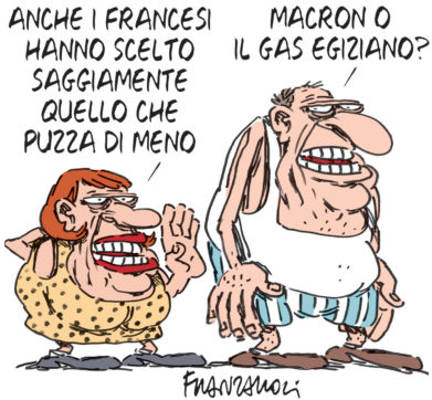 Copertina di La vignetta di Franzaroli