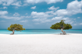 Copertina di Aruba, la “One Happy Island” dei Caraibi
