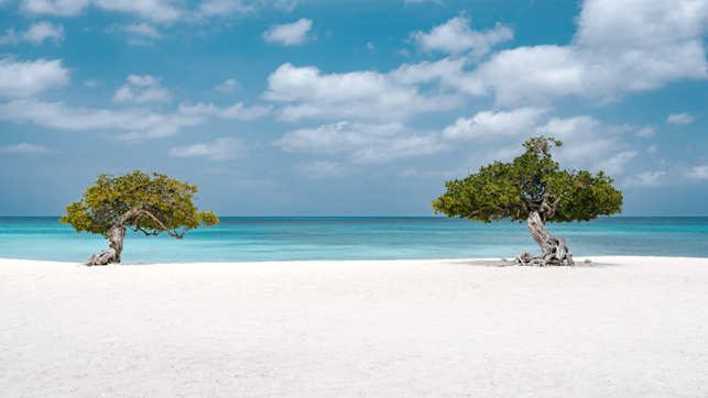 Aruba, la “One Happy Island” dei Caraibi