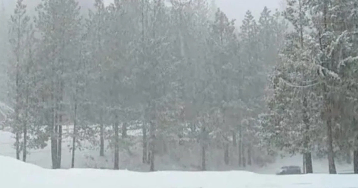 Donna dispersa nei boschi trovata viva dopo sei giorni. “Sopravvissuta grazie a yogurt e neve”