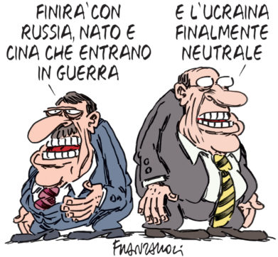 Copertina di La vignetta di Franzaroli