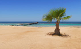 Copertina di Marsa Alam, non solo mare (e che mare!)