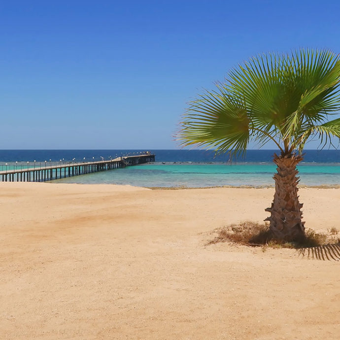 Marsa Alam, non solo mare (e che mare!)