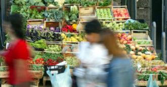 Copertina di Perché i bimbi non mangiano le verdure e cosa si può fare