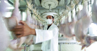 Copertina di Henry Mance: “Dal mattatoio al vegano per salvare il pianeta”