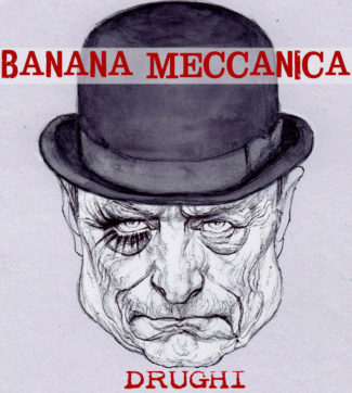 Copertina di La vignetta di Mannelli